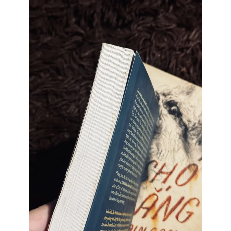 Chó trắng + Lời Hứa  1022226