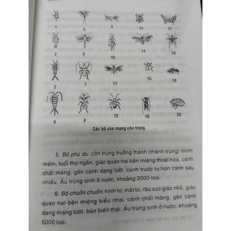 Hãy trả lời em? TẠI SAO?".
Tác giả của cuốn sách là Trình Bảo Xước và Trương Trọng Đức.
 703713