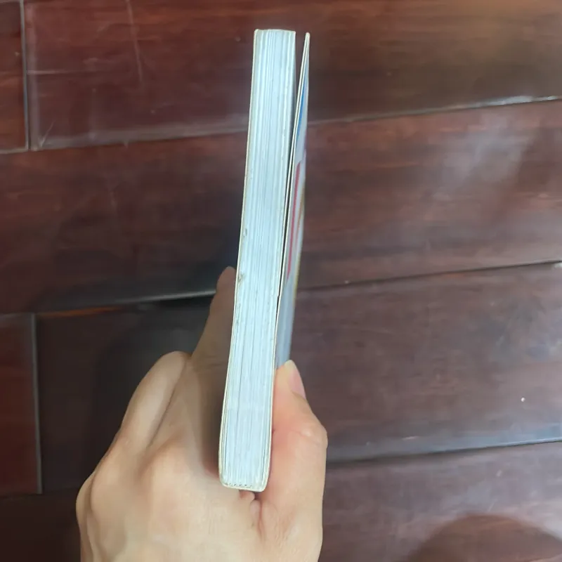 Chuyện về những lăng kính - nguyễn lê sang - bloom books 2015  1025853