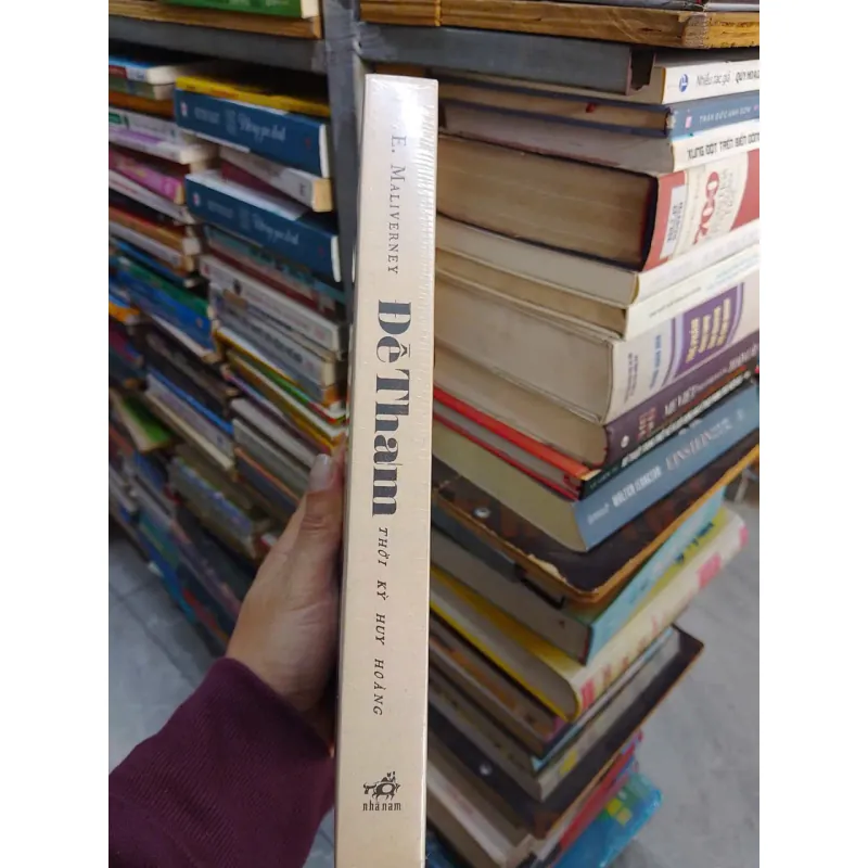 Sách - Đề Thám , Thời Kỳ Huy Hoàng 788388