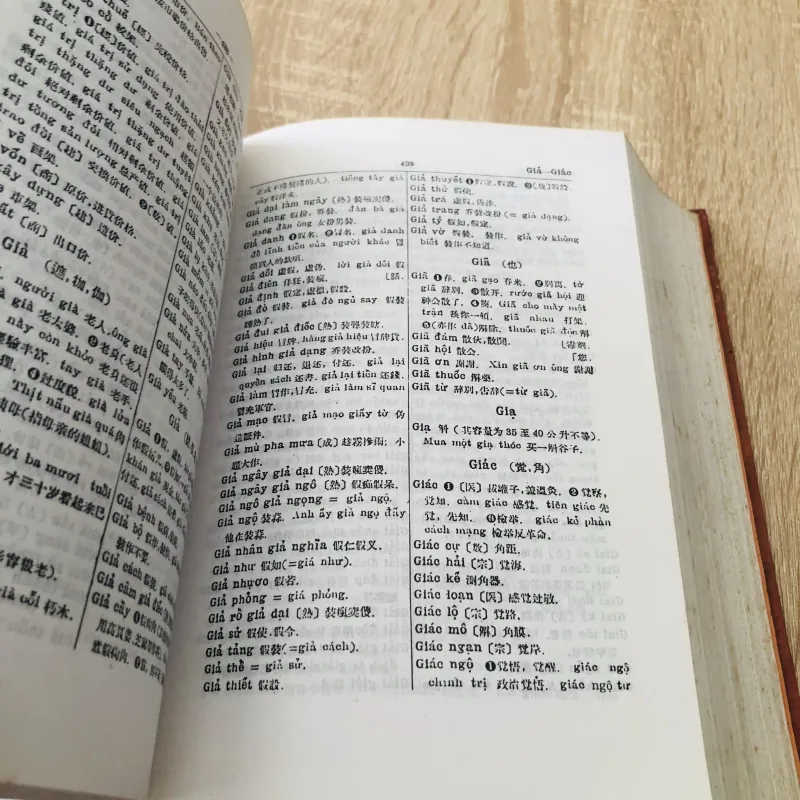 TỪ ĐIỂN VIỆT - HÁN 1000525