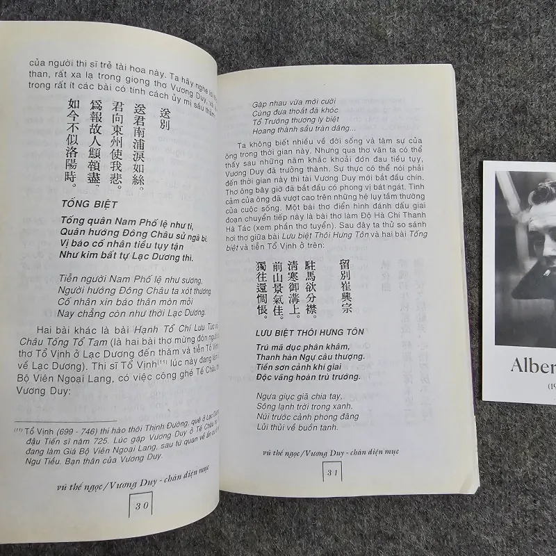 Vương Duy chân diện mục  936840