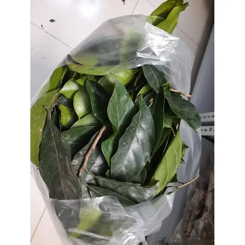 Lá cây chay tươi 758194