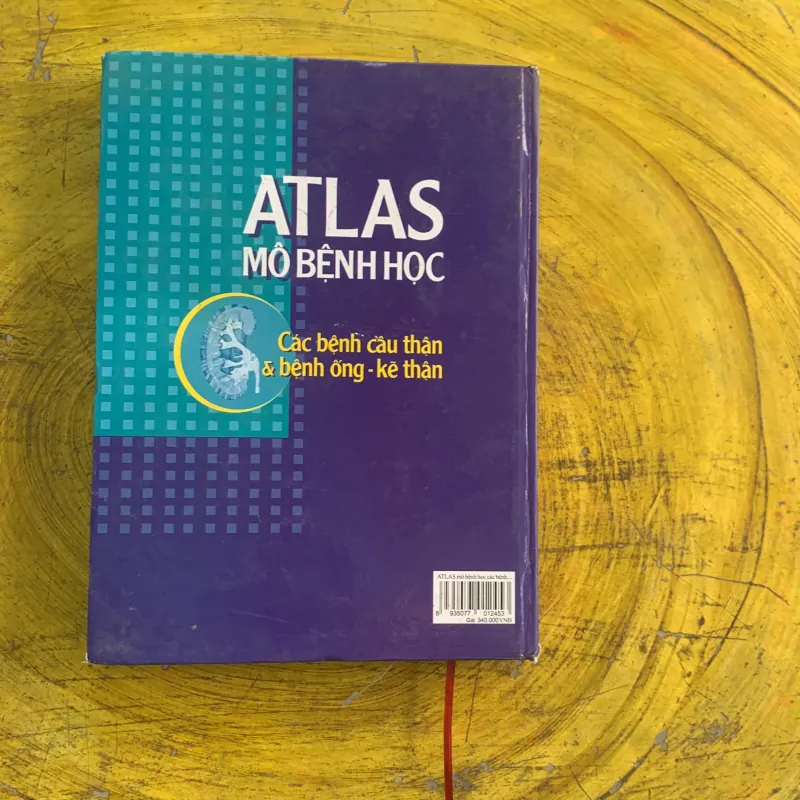 ATLAS MÔ BỆNH HỌC CÁC BỆNH CẦU THẬN & BỆNH ỐNG - KẼ THẬN 1009009