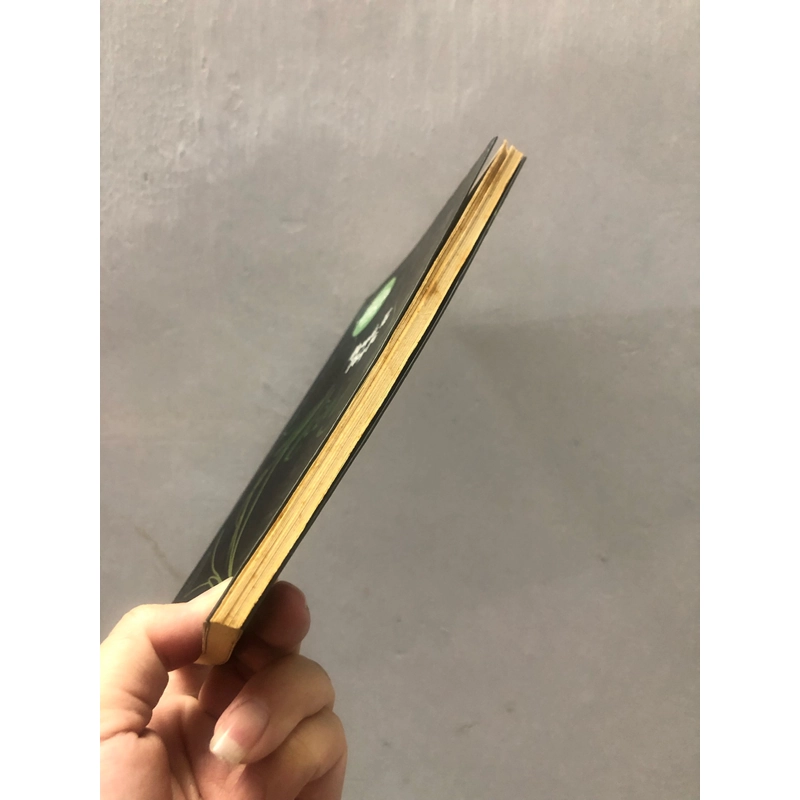 Mèo đêm - Nguyễn Thị Thuỵ vũ 337857