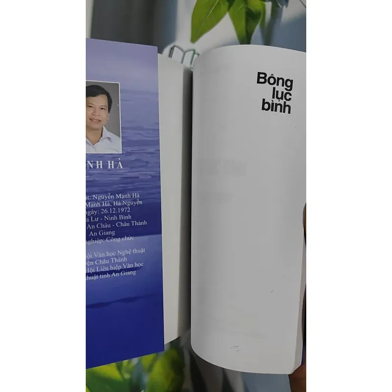 Bông Lục Bình - Mạnh Hà 798483