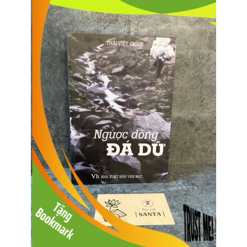 (TẶNG BOOKMARK) Ngược dòng đá dữ- Thái Việt Chính (sách lưu kho mới 90%) Sách văn học RBK0302 948885