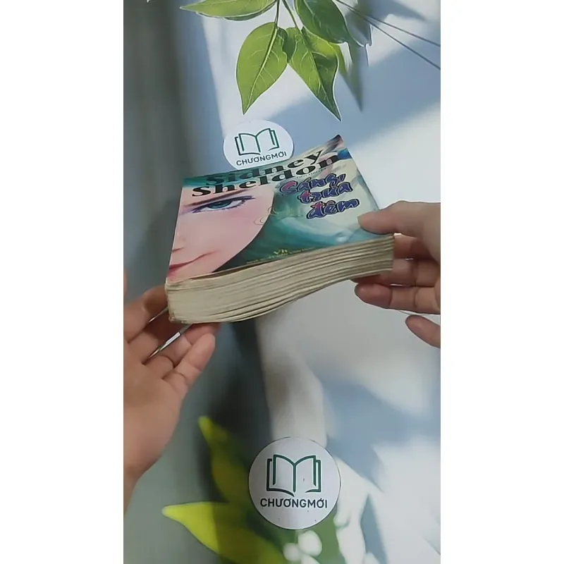 Sáng, trưa và đêm - Sidney Sheldon 695004