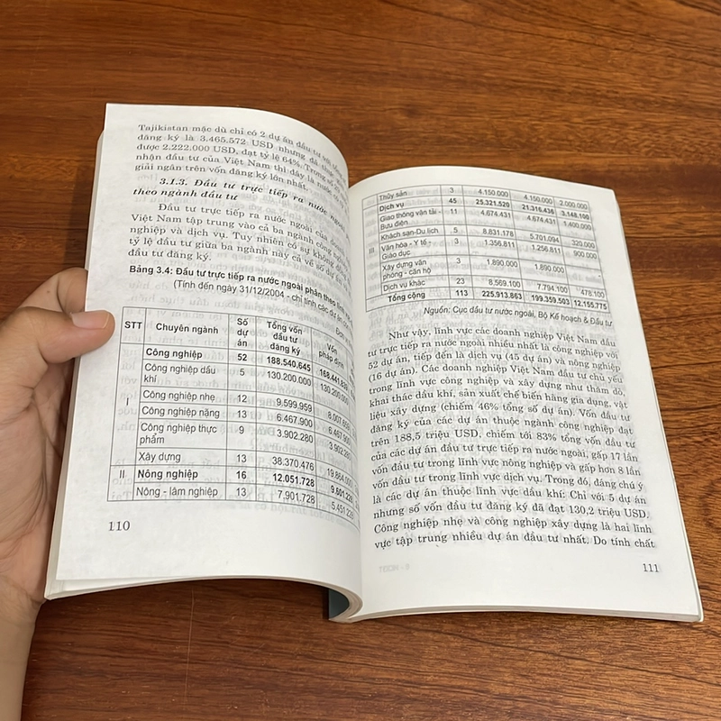 Thúc Đẩy Doanh Nghiệp Việt Nam Đầu Tư Trực Tiếp Ra Nước Ngoài - PGS. TS. Đinh Trọng Thịnh 507803