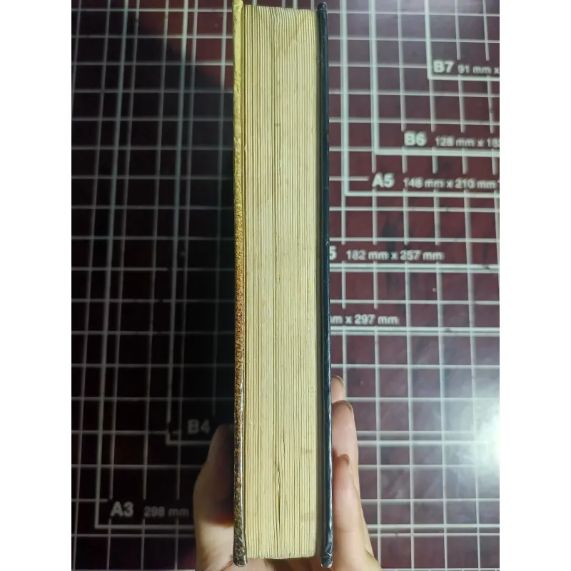 Chính thể đại diện - John Stuart Mill 754703