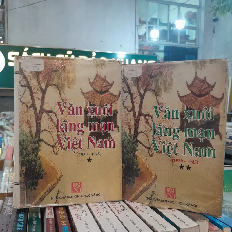 VĂN XUÔI LÃNG MẠN VIỆT NAM 695912