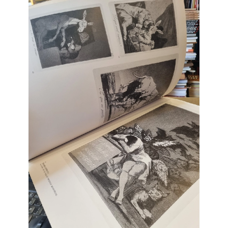 Sách tiếng Nhật 186 : Francisco De Goya Y Lucientes 363519