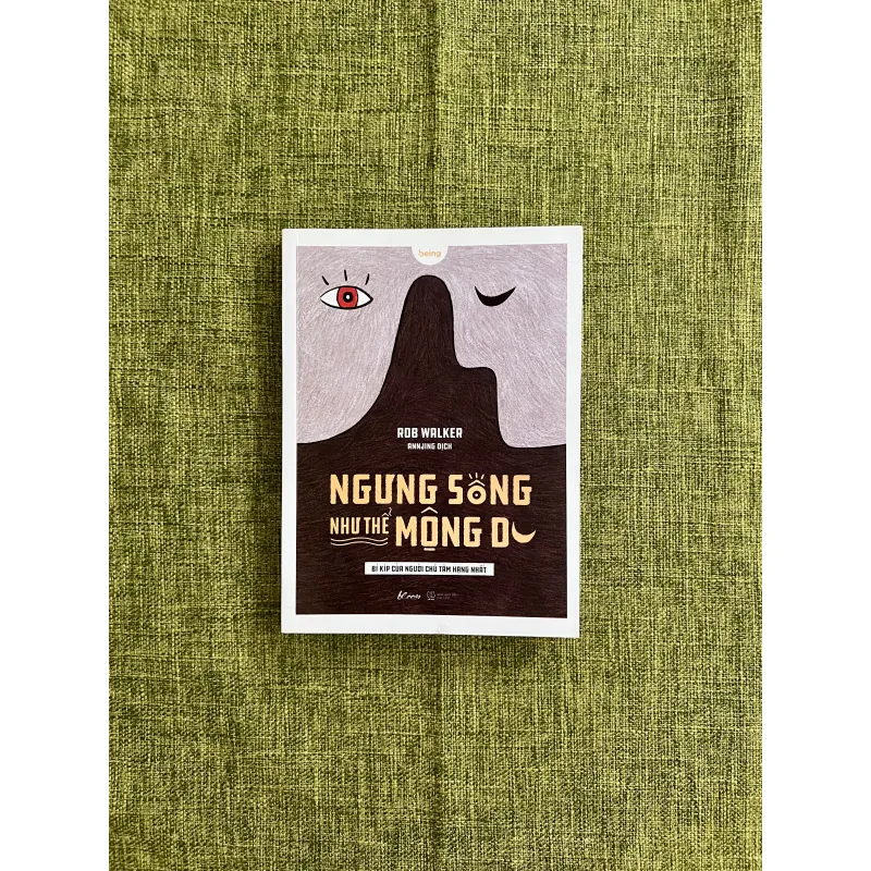 NGƯNG SỐNG NHƯ THỂ MỘNG DU (Sách như mới) - Rob Walker 589902
