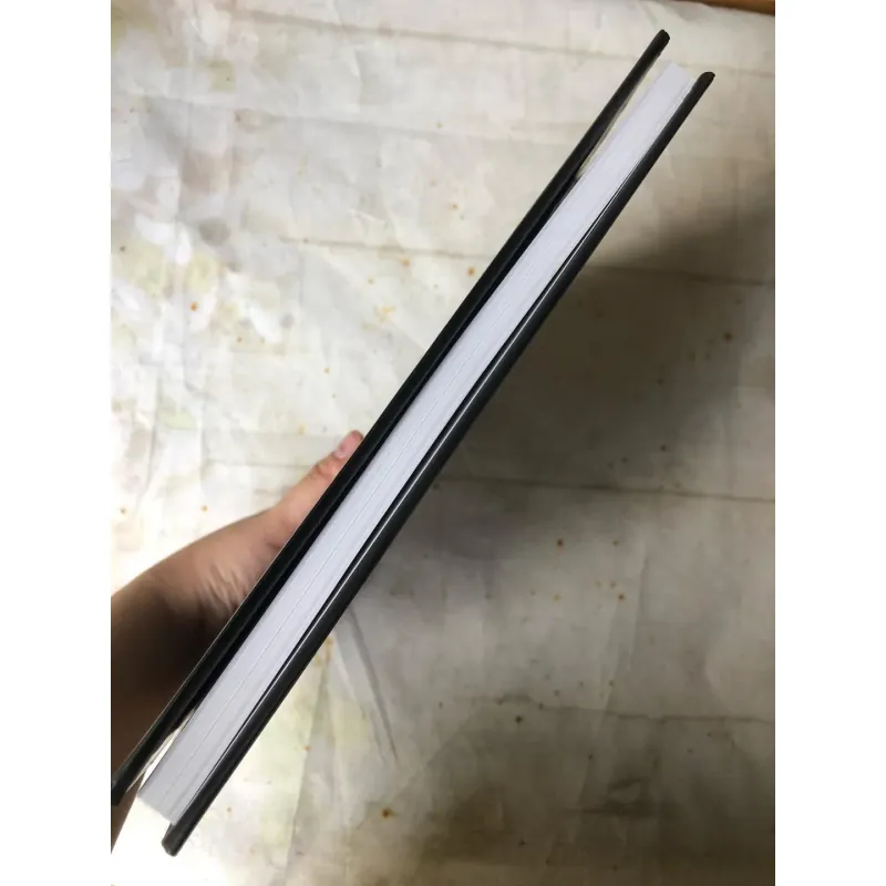 Artbook Mùa Nắng Phai - Nguyễn Quốc Dũng 736204