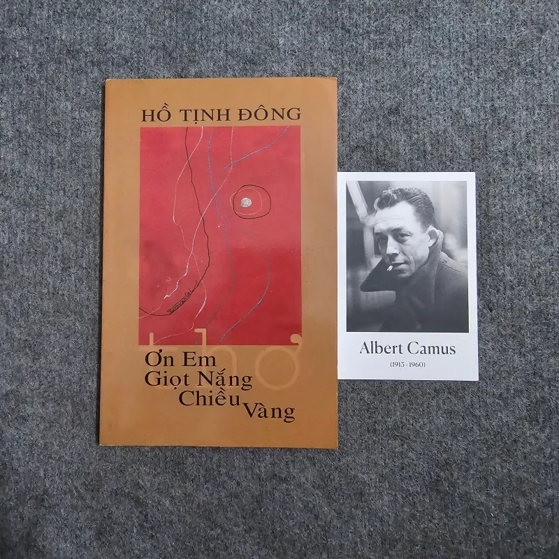 Ơn em giọt nắng chiều vàng - Hồ tịnh đông - sách hải ngoại 1019410