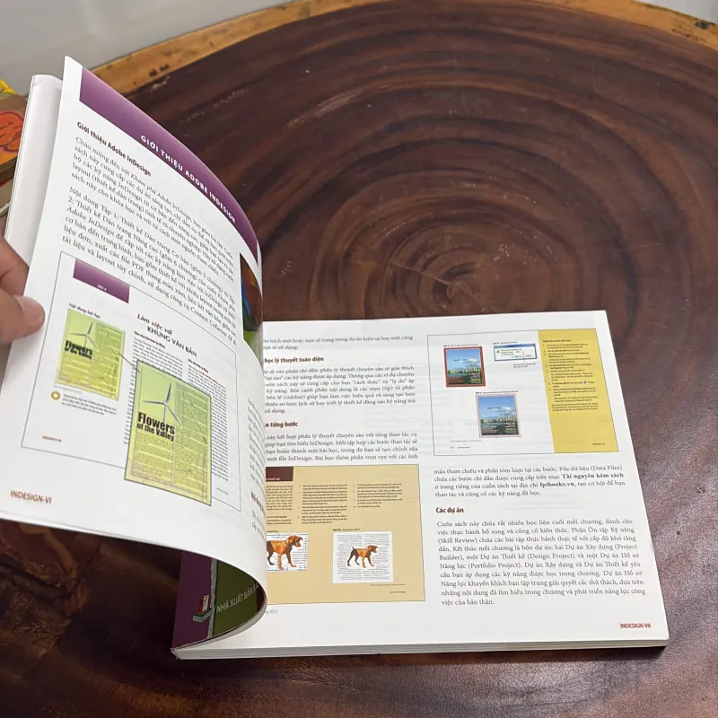 II Tủ Sách Bản Quyền Đại Học FPT: Khám Phá Adobe Indesign, Thiết Kế Dàn Trang Cơ Bản 991986