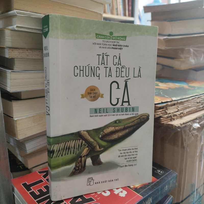TẤT CẢ CHÚNG TA ĐỀU LÀ CÁ 300593