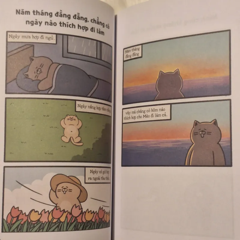 Combo Văn phòng Động Vật Năm tháng đằng đãng chẳng có ngày nào thích hợp đi làm 933171