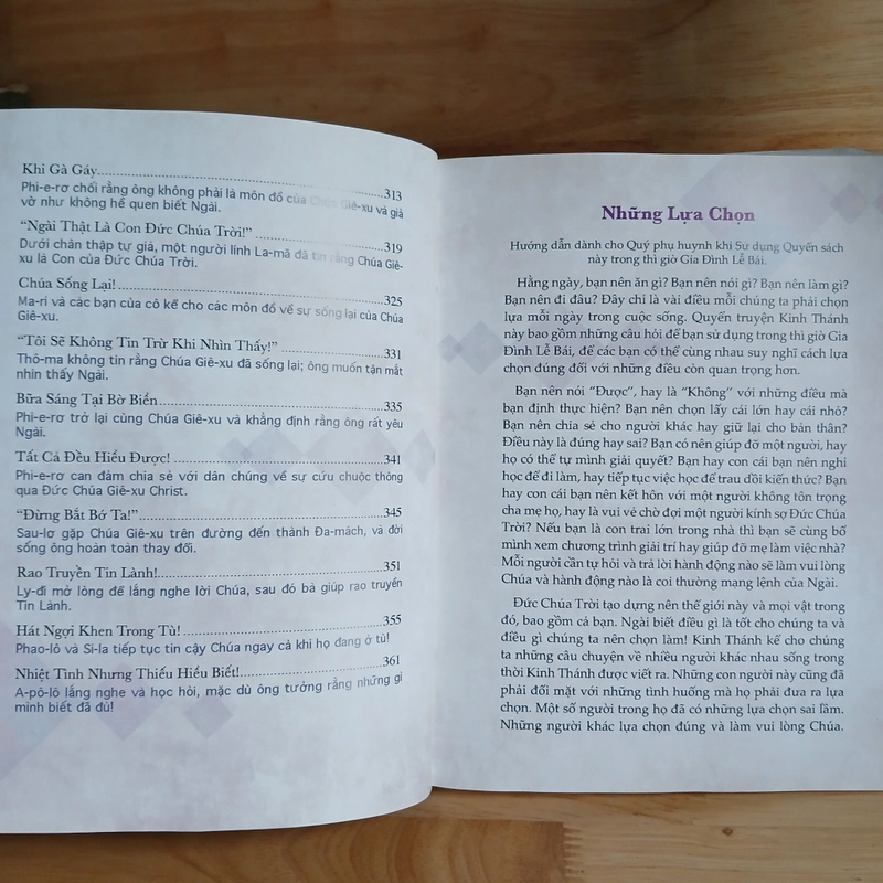 Truyện Tích Từ Kinh Thánh - Sự Lựa Chọn Đúng Đắn (Dottie & Josh McDowell) 517556