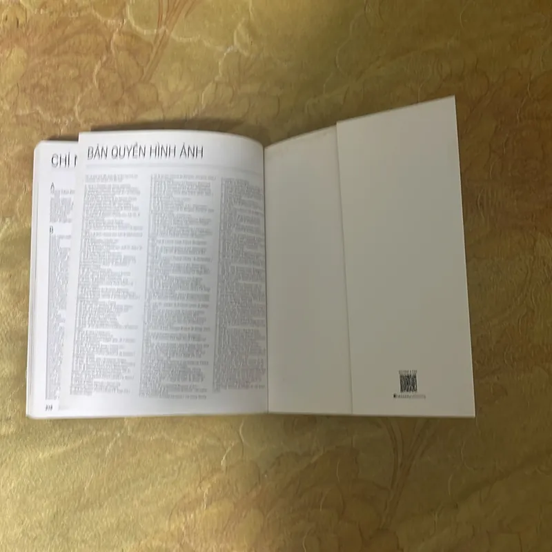 THEO DÒNG LỊCH SỬ NGHỆ THUẬT- GERARD DENIZEAU 735669