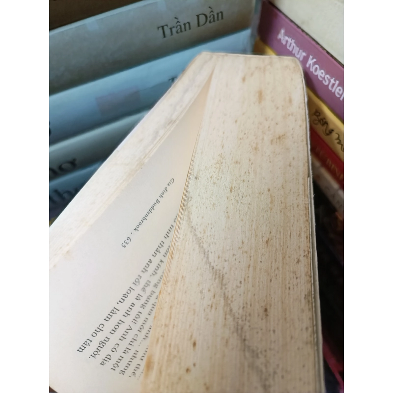 Gia đình Budden Brook (Thomas Mann) 517630
