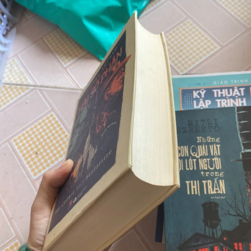 Hai số phận bìa cứng  735958