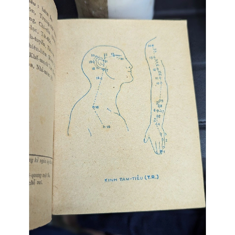 TIỂU TỪ ĐIỂN CHÂM CỨU KINH HUYỆT & BIỆT HUYỆT - THƯỢNG TRÚC 193506