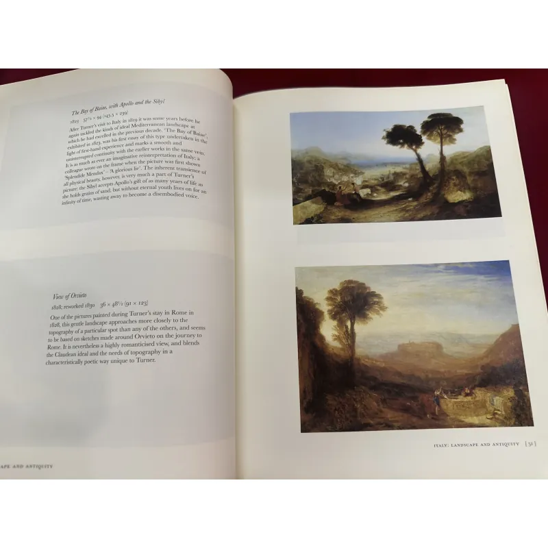 Sách ngoại văn tiếng Anh - Turner in the Clore Gallery 928704