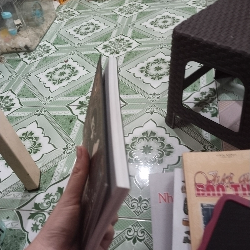 Kinh thánh nói gì về tương lai ? 552474
