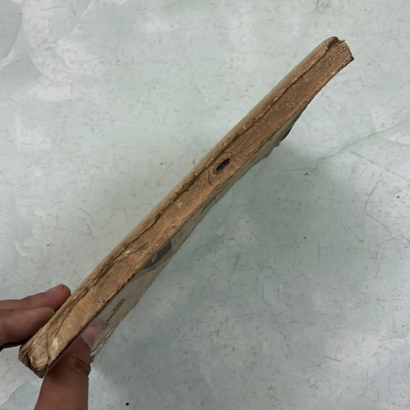 Tiếng Anh 9 - 1976s 1009817