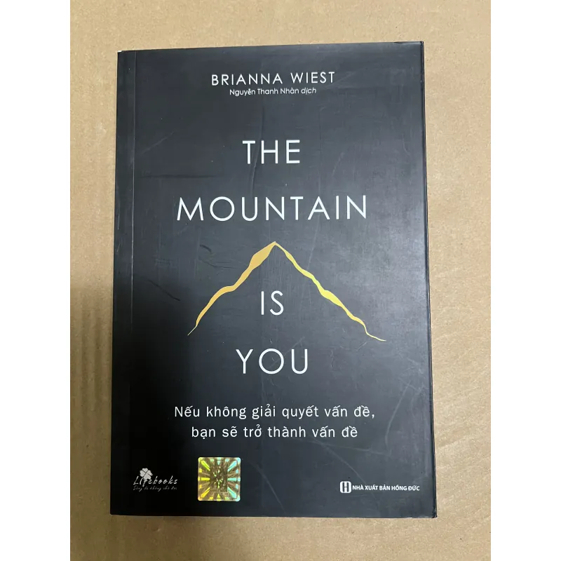 The Mountain is you 1025491