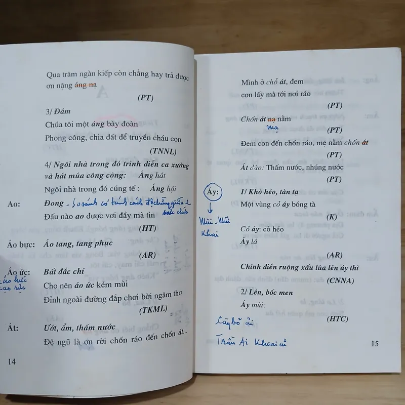 Từ Điển Từ Việt Cổ - Nguyễn Ngọc Sang, Đinh Văn Thiện 740763