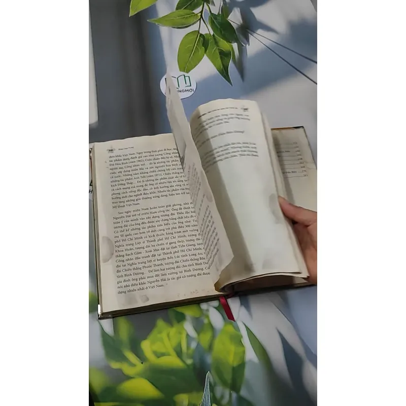 Điện Biên - Bản hùng ca vang mãi muôn đời - Đoàn Hoài Trung 750749