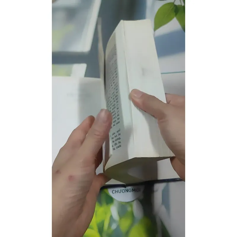 Từ Điển Chính Tả Tiếng Việt Phổ Thông - Nguyễn Văn Khang 727389