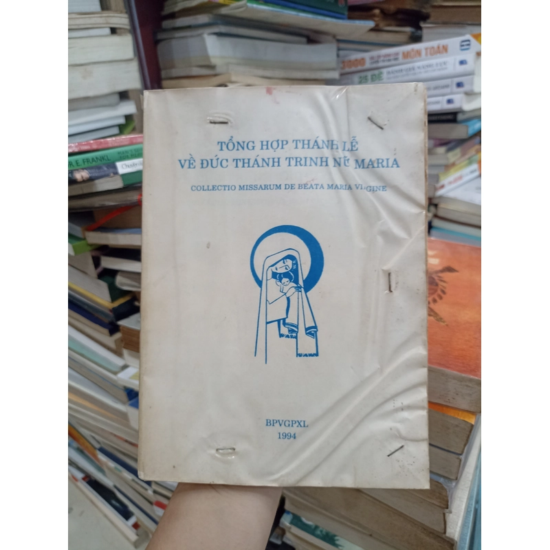 Tổng Hợp Thánh Lễ Về Đức Thánh Trinh Nữ Maria 🌻 521382