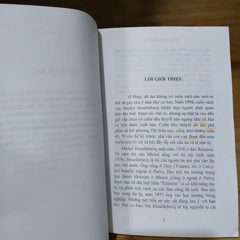 Tiểu Thuyết Hạt Cơ Bản - Michel Houellebecq 726807