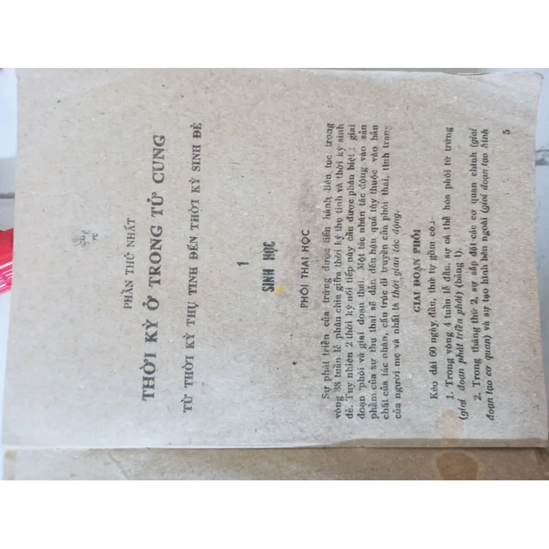 Bệnh lý sơ sinh 595603