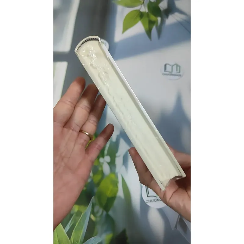 [MIỄN PHÍ BỌC SÁCH] [SEAL] Khát Vọng Hồ Chí Minh - PGS. TS. Bùi Đình Phong 990514