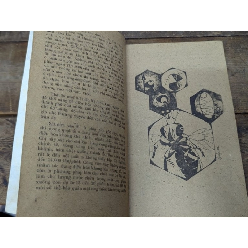 Thế giới kỳ lạ của loài ong - Minh Hương 551874