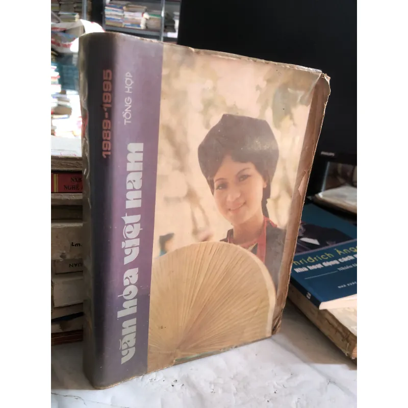 Văn hoá Việt Nam tổng hợp 1989-1995  1041348