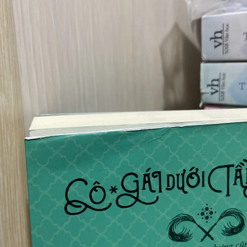 (Tiểu thuyết) - Cô gái dưới tầng hầm - Stacey Lee 990715