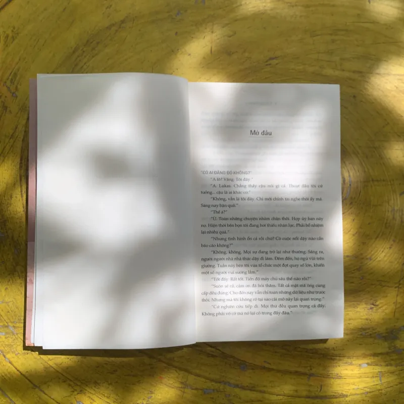 CÁT BỤI THÁP GIỐNG # 3 - HUGH HOWEY 937325