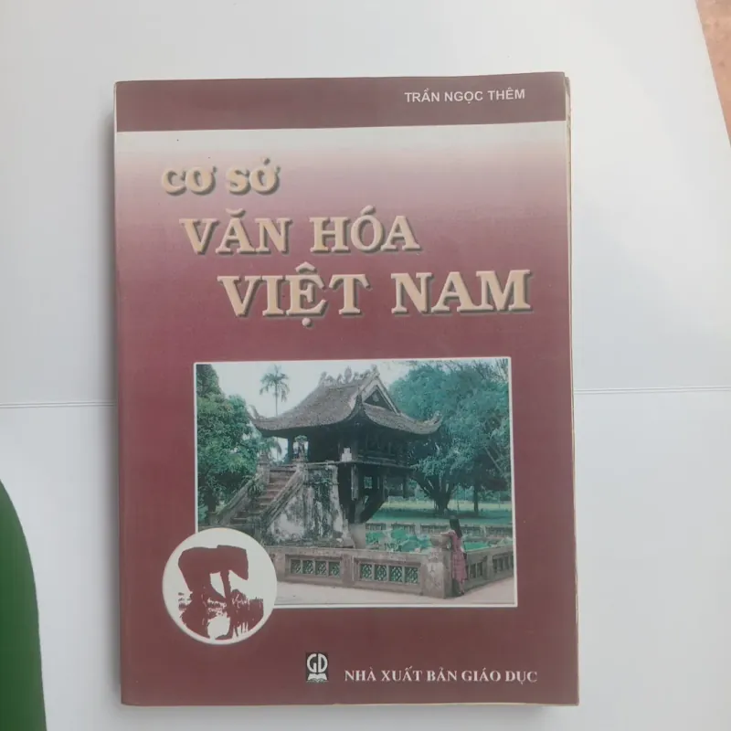 Cơ sở văn hóa Việt Nam 1027866