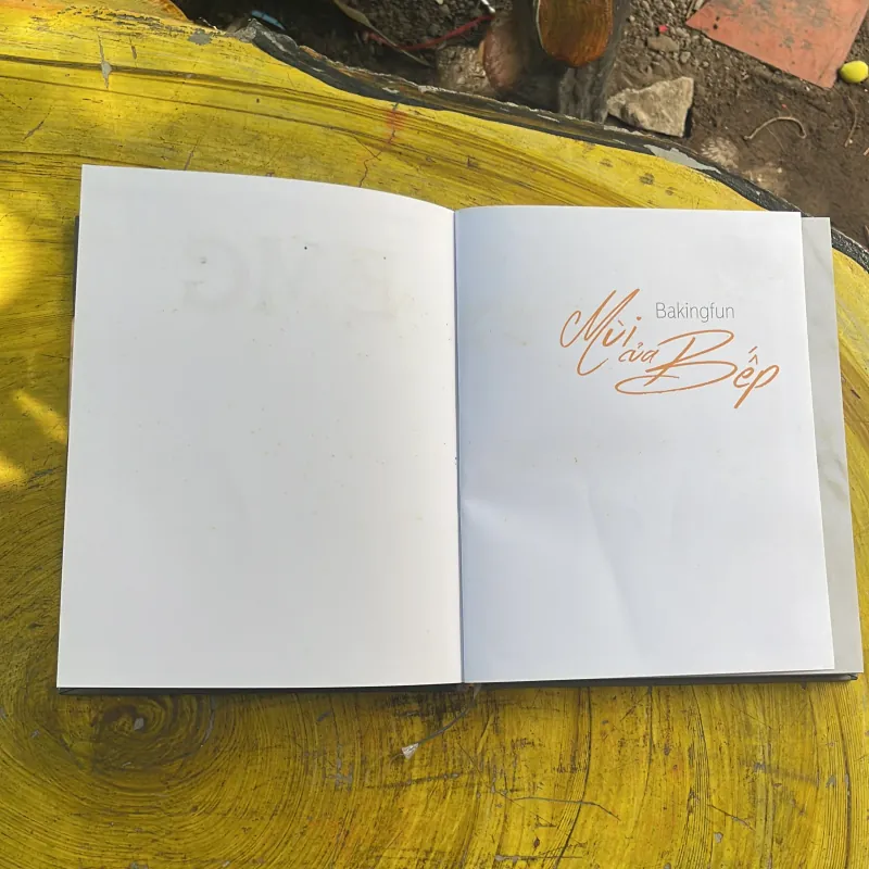 MÙI CỦA BẾP - VŨ ÁNH NGUYỆT 973728