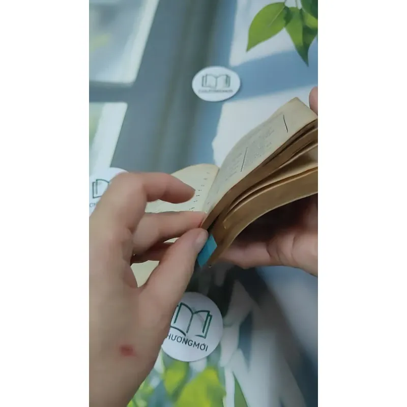 Tiếng Anh Thực Dụng Dễ Học 727293