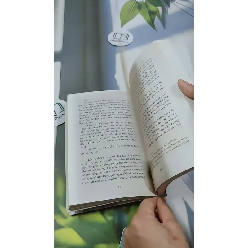 Này Những Phong Hoa Tuyết Nguyệt - Công Tử Hoan Hỉ 744702