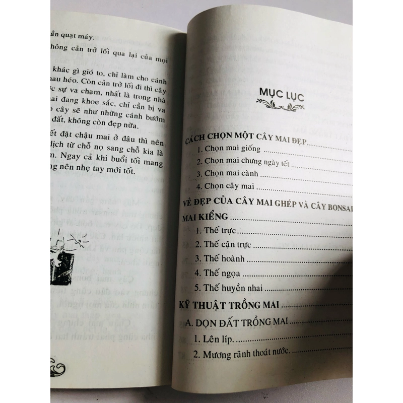 KỸ THUẬT TRỒNG, CHĂM SÓC CÂY MAI 530567