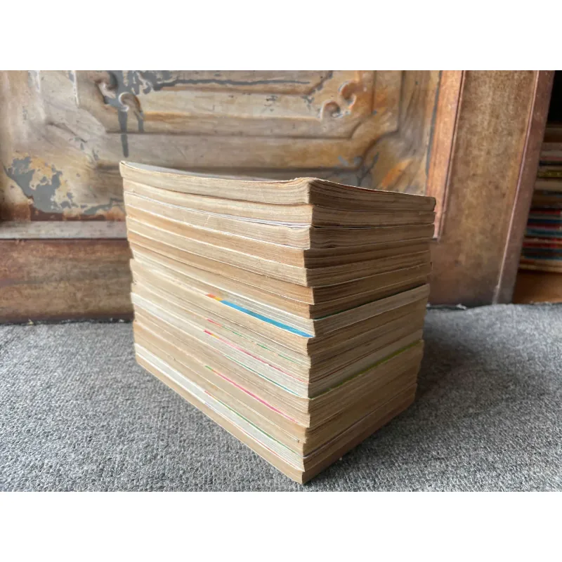 Truyện Bá Tước Tiểu Thư Đọc Xuôi - Trọn Bộ 15 Tập - NXB Kim Đồng 736860