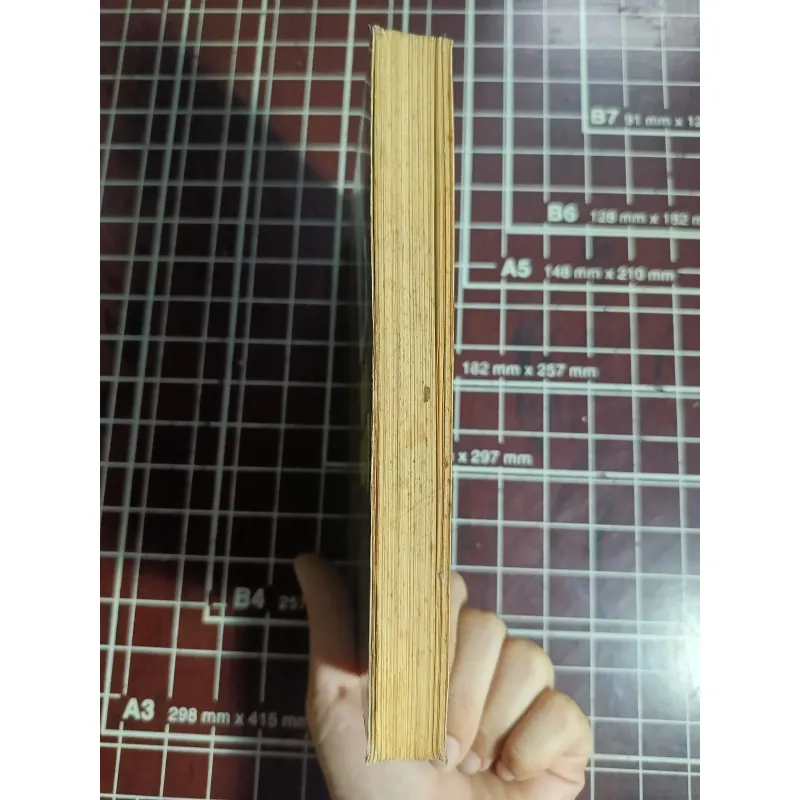 Thần tượng ( giải Nobel Văn học 1991) - Nadine Gordimer 754701