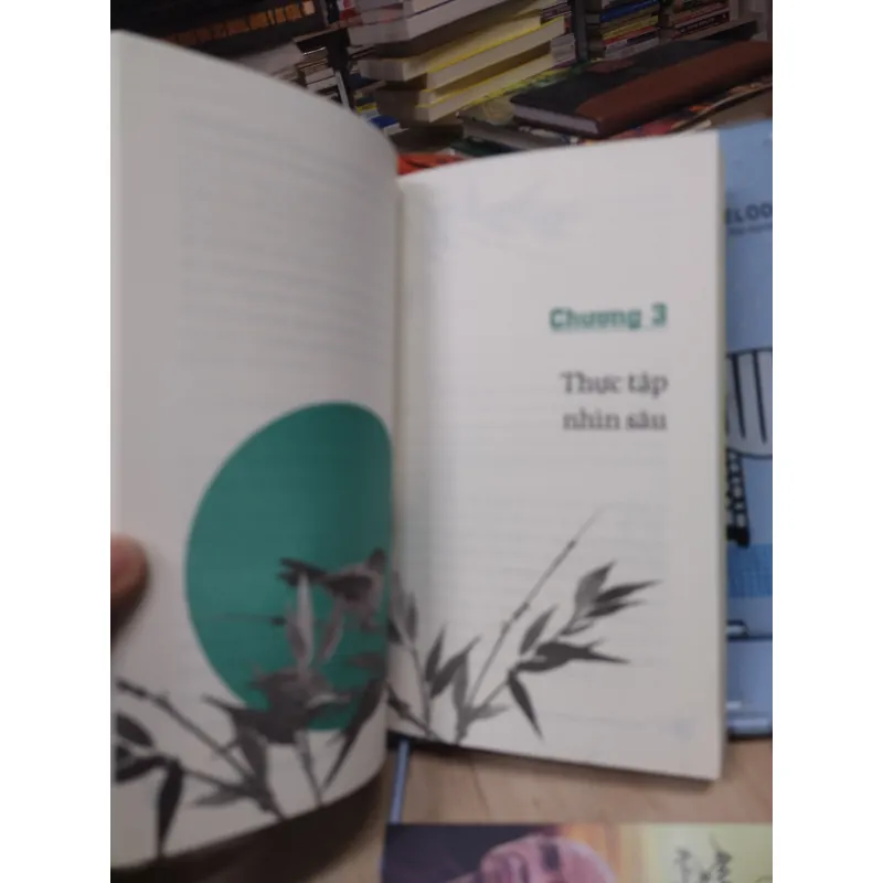 Sách: Không diệt không sinh đừng sợ hãi - TG: Thích Nhất Hạnh (B1) 781855